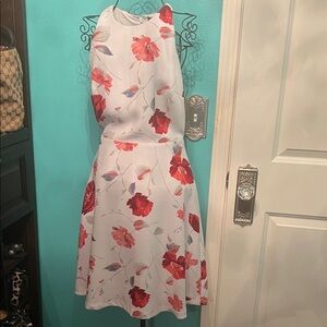 Banana Republic White and Red Floral Midi Dress